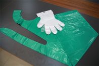 Flachgehäuse-Wegwerfplastikhandschuhe für Küchen-Lebensmittelverarbeitung/medizinische Verwendung